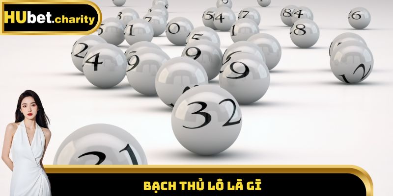 Bạch thủ lô là gì