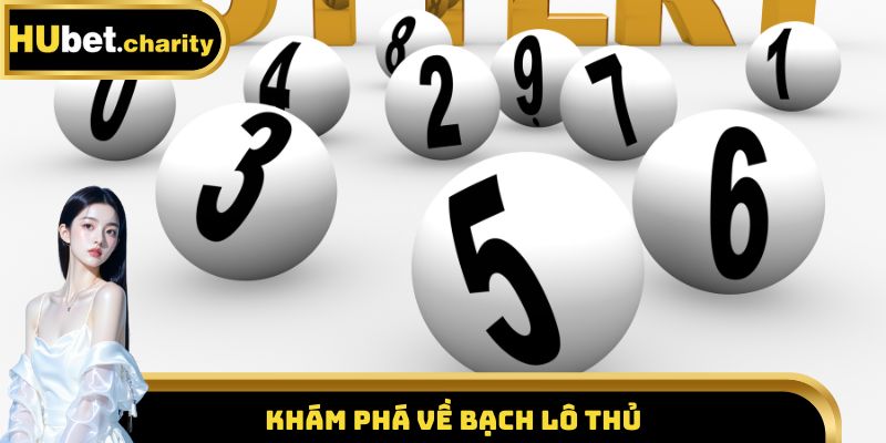 Khám phá về bạch lô thủ 